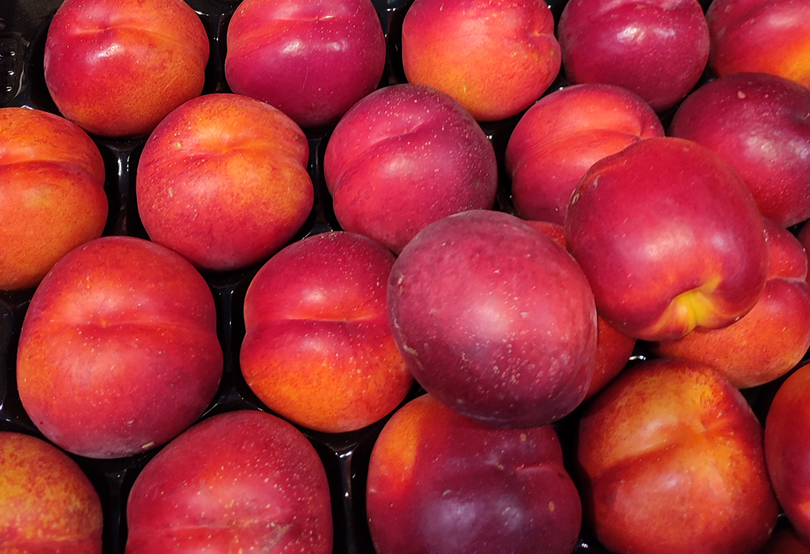 Pêche et nectarine